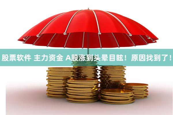 股票软件 主力资金 A股涨到头晕目眩！原因找到了！