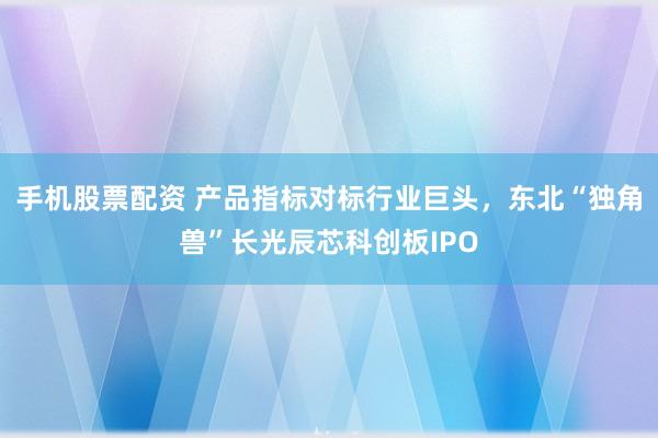 手机股票配资 产品指标对标行业巨头，东北“独角兽”长光辰芯科创板IPO