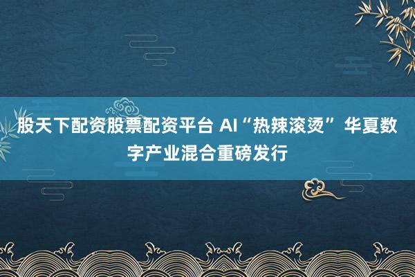股天下配资股票配资平台 AI“热辣滚烫” 华夏数字产业混合重磅发行