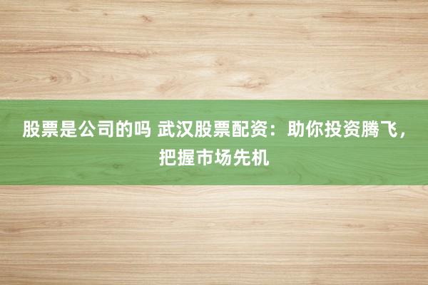 股票是公司的吗 武汉股票配资：助你投资腾飞，把握市场先机